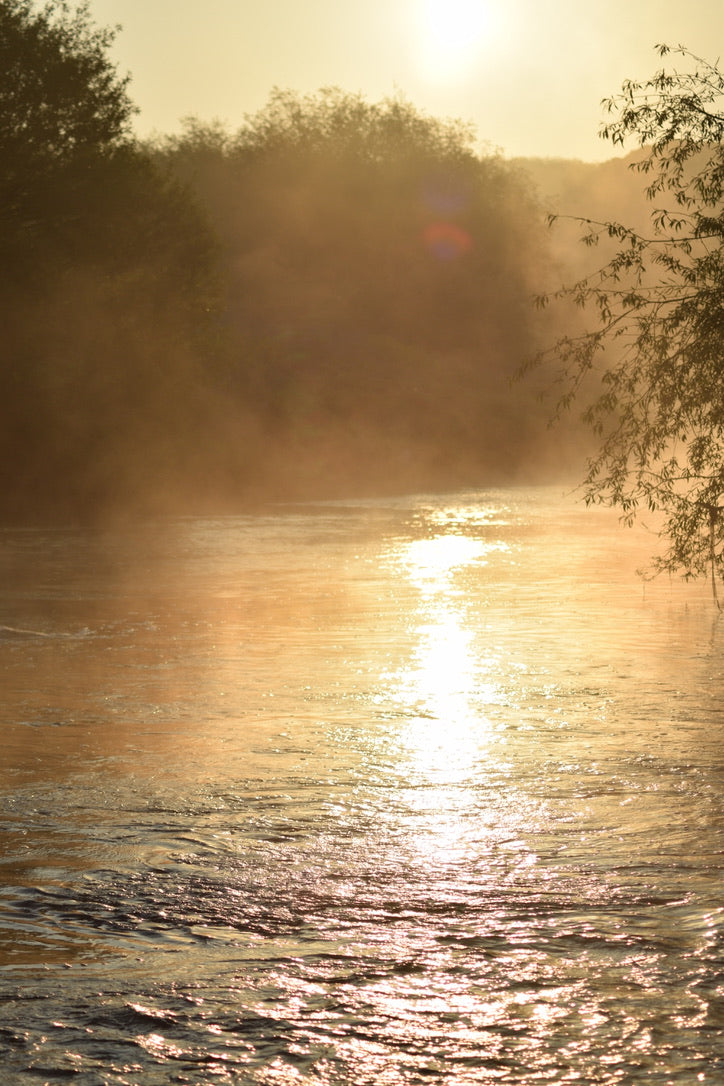 The River Trent Book