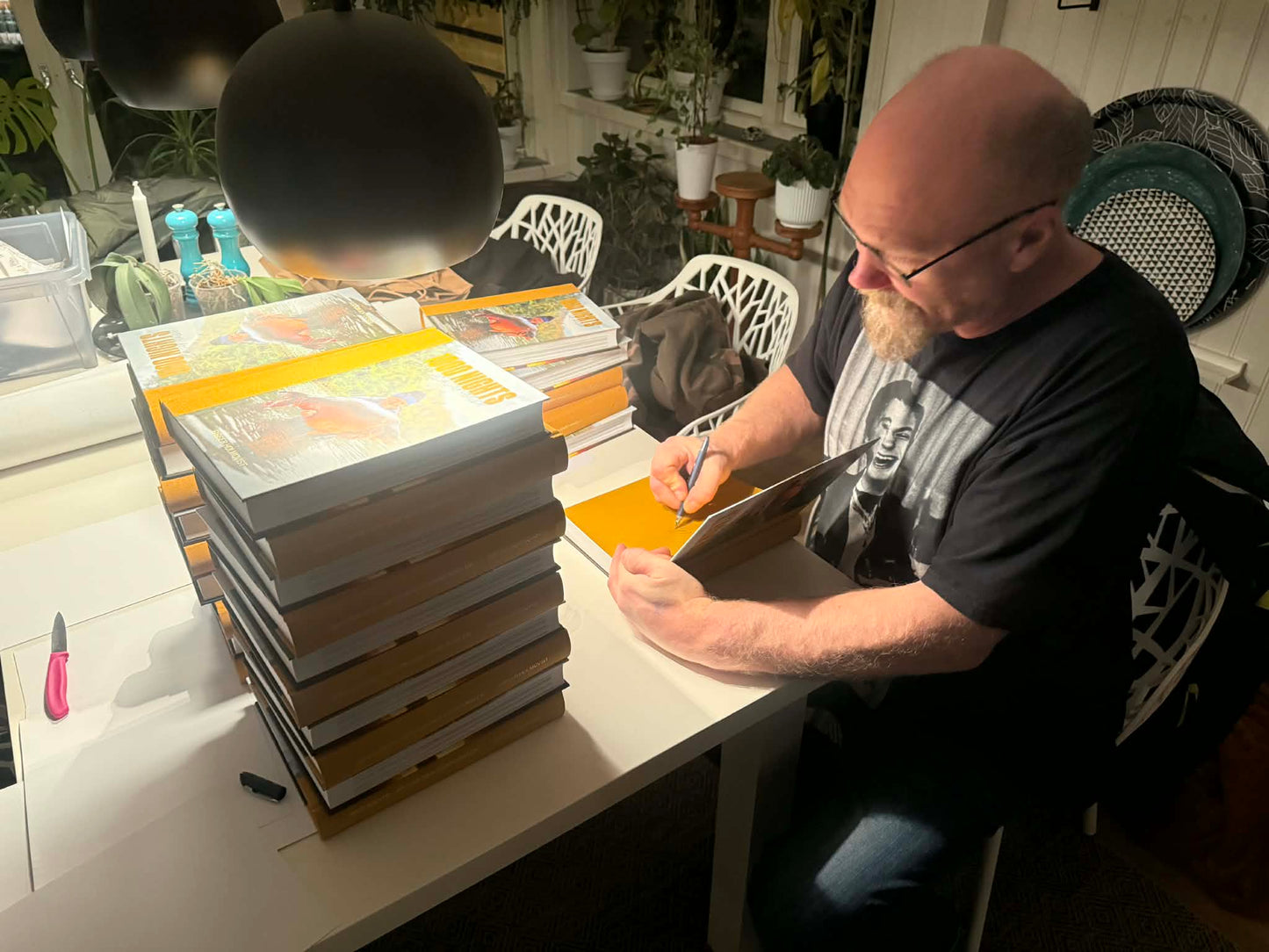 1000 Nights (Available on the ‘3 books for the price of 2’ promotion)