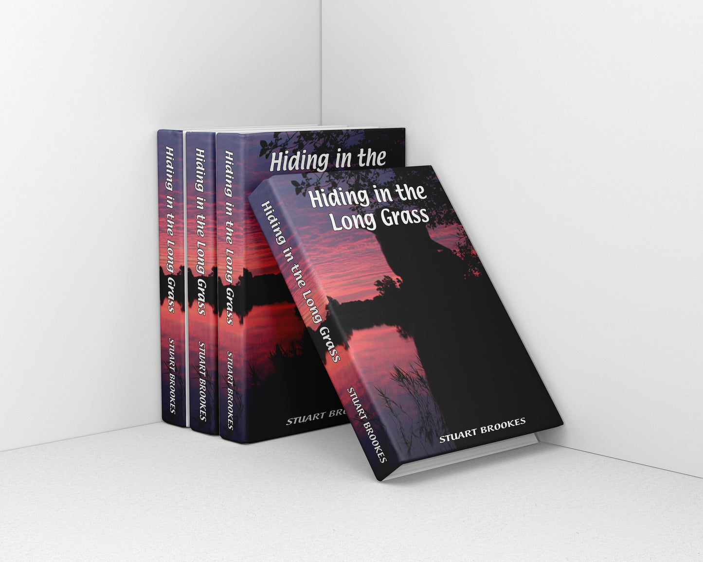 Hiding in the Long Grass (Available on the ‘3 books for the price of 2’ promotion)
