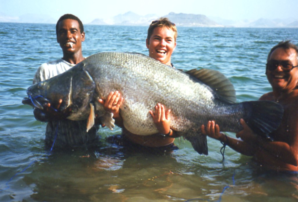 Free read! Nile Perch Trip by Bob Brookes