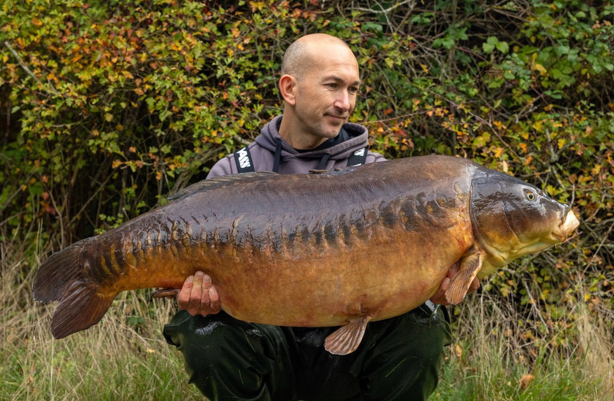 Dinton Pastures - Coming November 2026