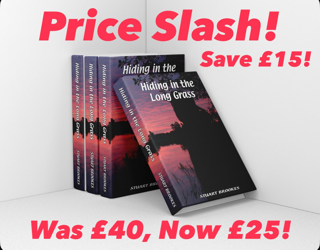 Hiding in the Long Grass (Available on the ‘3 books for the price of 2’ promotion)