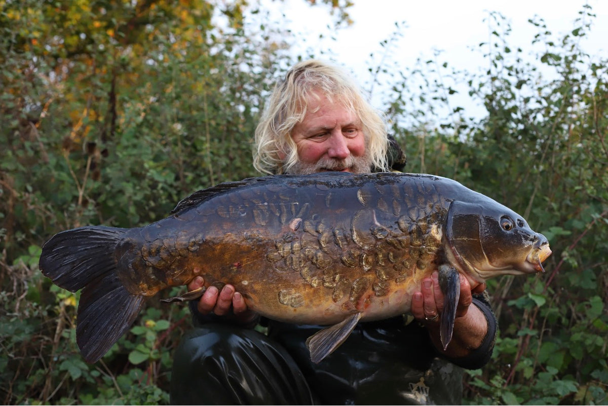 Dinton Pastures - Coming November 2026